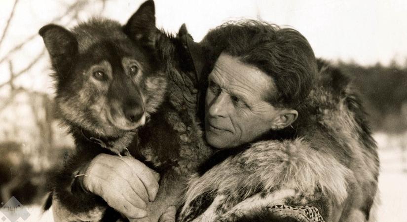 Hogyan mentette meg Togo a gyerekek életét? – az 1925‑ös Nome‑i szérumfutás