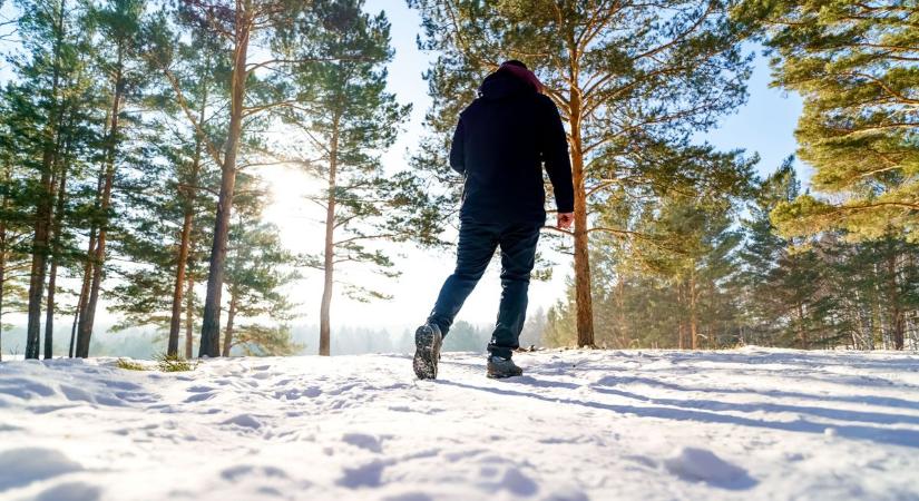 A biztonság legyen az első, ha a téli erdőben túrázunk