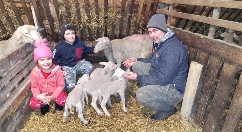 Földes egyik hodályában újra csoda született