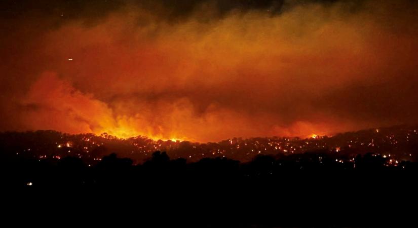Őserdőket pusztítanak a bozóttüzek, katasztrófahelyzetet hirdettek Ausztráliában