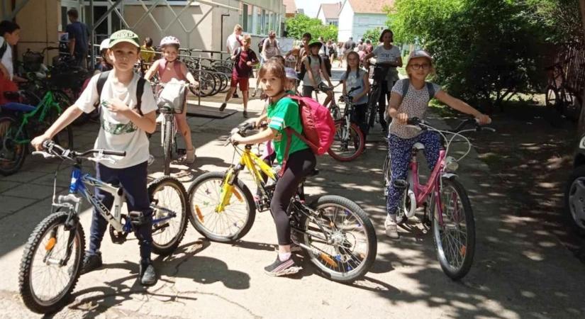 Első hely és különdíj: tarolt a Platán iskola a Millió Lépés kihívásban – fotók