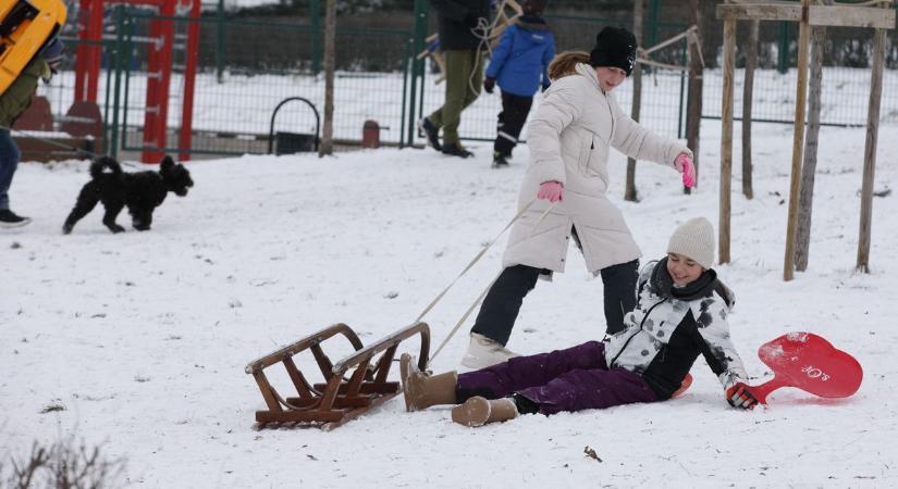 Így szánkóztok ti: székesfehérvári pillanatok (galéria)