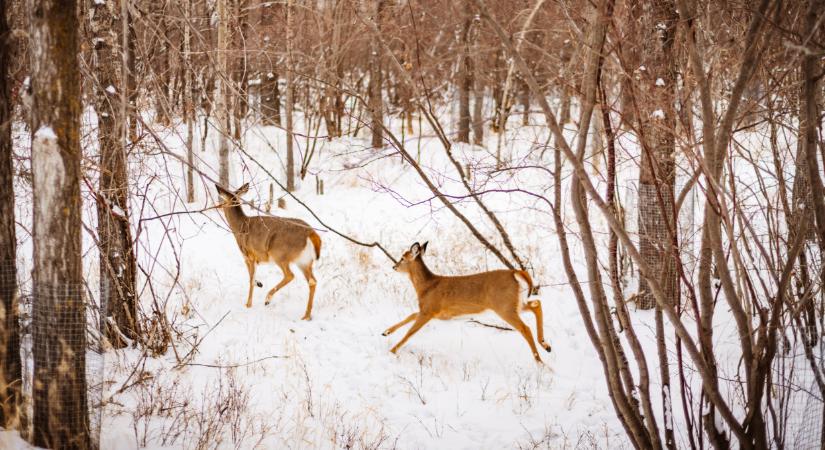 Kirándulók, figyelem! Komoly bajba kerülhet, aki erre nem figyel most oda