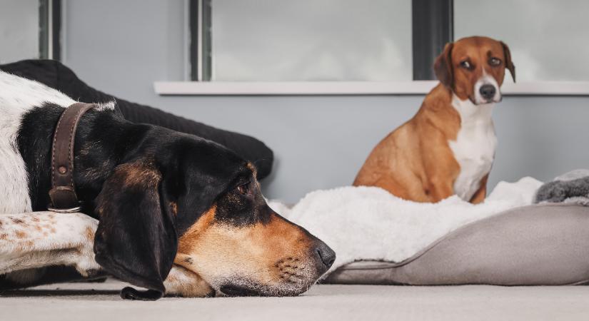 Napi horoszkóp 2026. január 11: féltékenységet hozhat a Plútó