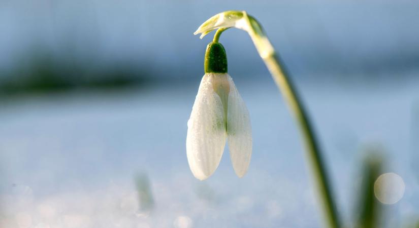 Közölték a meteorológusok, érkezik a melegedés, ennyit kell meg kibírni a kőkemény télből