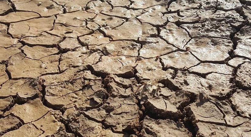 Eső után került elő páratlan kincs a szántóföldről, minden környékbeli erre vadászik azóta