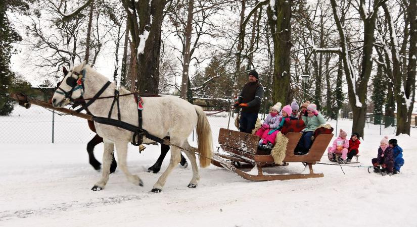 Tizenhat év után befogták a szánokat (galéria)