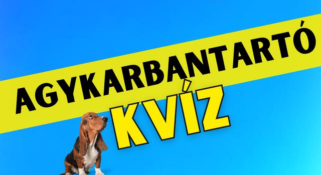 Napi agykarbantartó feladat: Csak a sas szemű gazdik tudják a helyes választ.