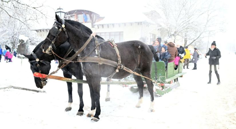 Lovas szánnal siklottak Rákóczifalva behavazott utcáin a kicsik nagy örömére – galériával és videóval