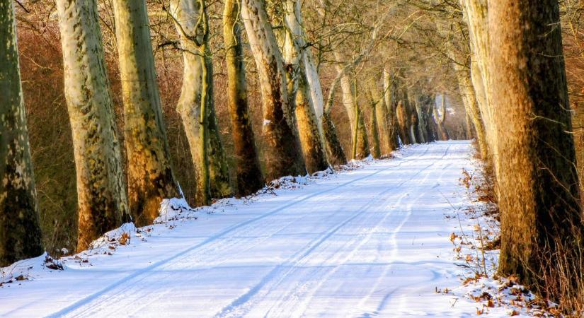 Csodaszép fotókon a behavazódott Szigetköz! Mutatjuk olvasónk pazar fotóit - Képgaléria