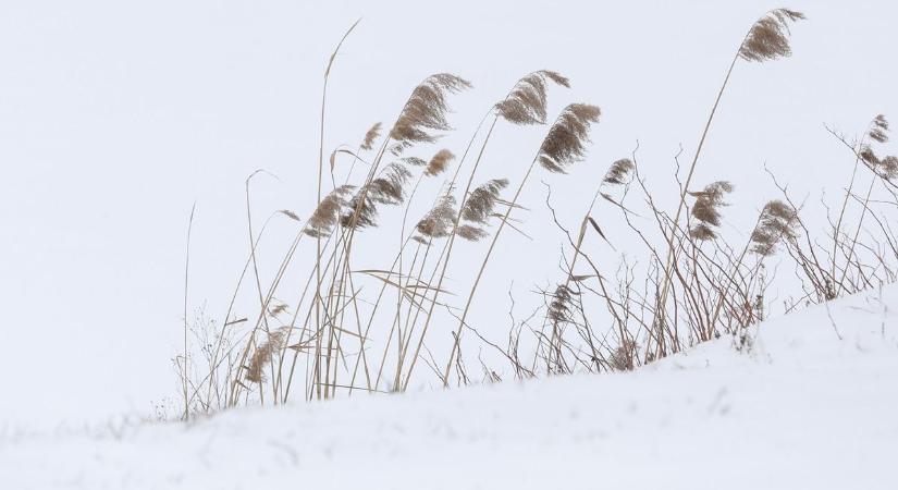 Viharos szél, extrém hideg - Rákapcsol a tél