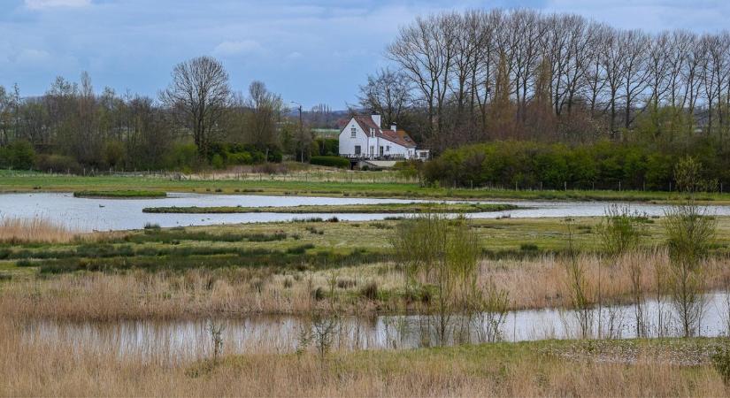 Nitrát, foszfor, eutrofizáció: miért fontos a vízminőség védelme?