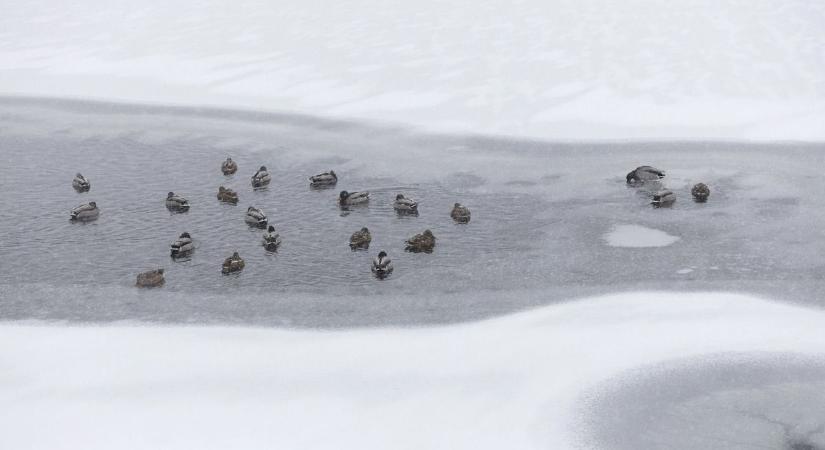 Hófúvás és dermesztő hideg – ilyen lesz a hétvége a Jászkunságban