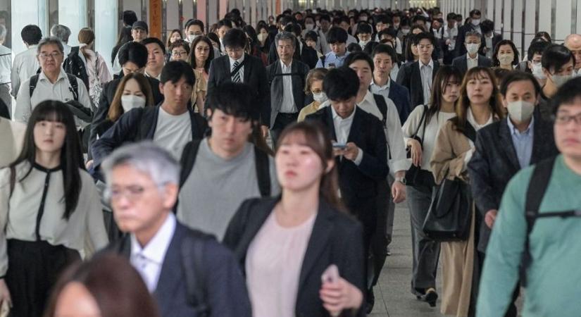 Sokkal optimistábbak a cégvezetők