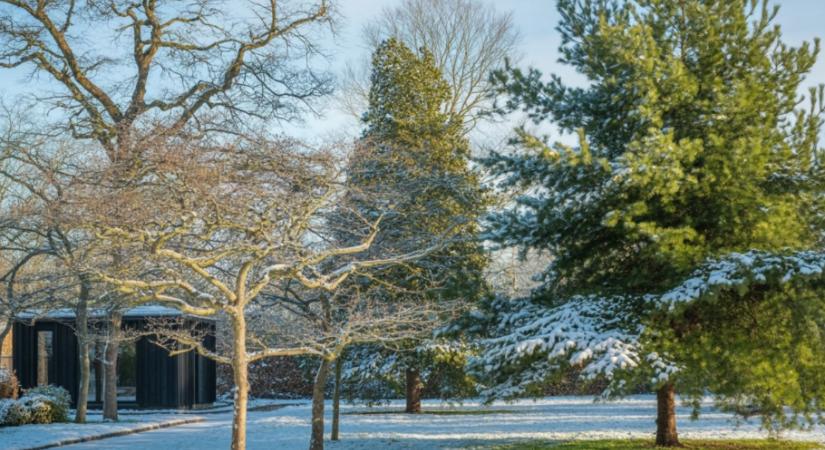 Locsolás télen? Igen – a fák élete múlhat rajta