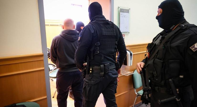 Paranoid skizofrénia akut szakaszában késelte halálra unokatestvérét egy férfi