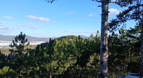 Csodás fenyvesek, egy monumentális szikla és egy denevérekkel teli barlang – Barangolás a Zajnát-hegyeken