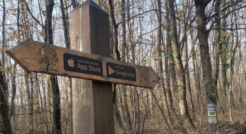 Kocsma továbbra sincs, de van gyönyörű táj és nyugalom – tovább a kéktúrán Dél-Magyarországon