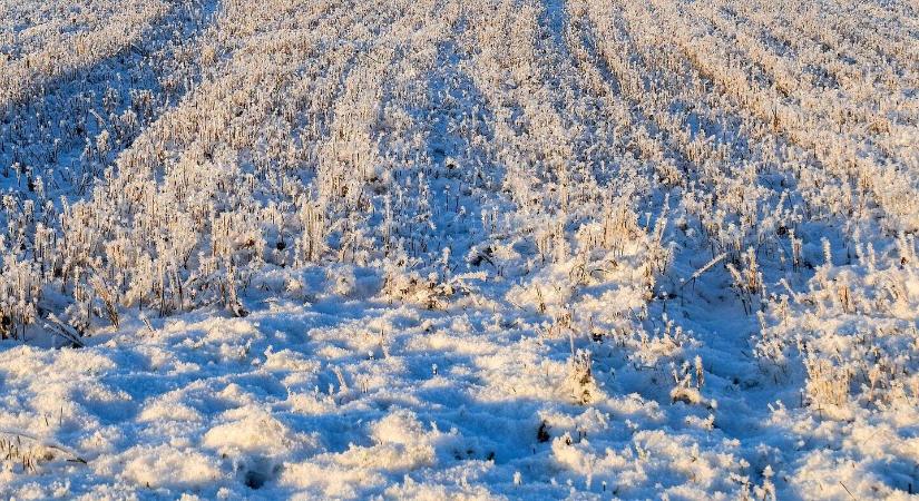 Mit rejt a hó? Kórokozók támadása télen