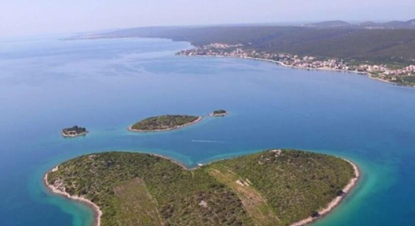 Szenzációs lelet: medvecsontból furulyát faragott neandervölgyi ősünk, a közelben találták meg a hangszert