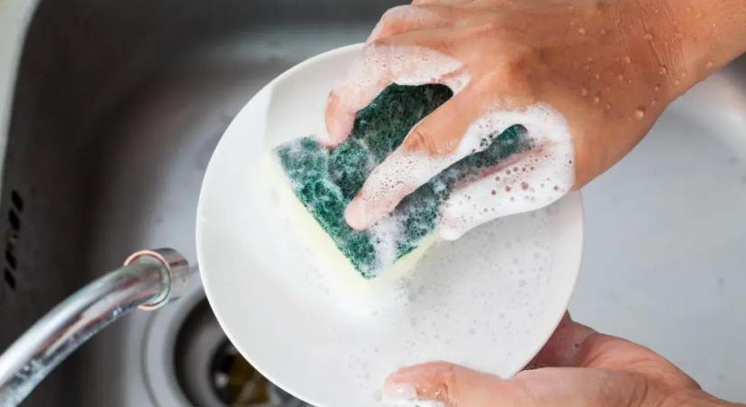 Zseniális konyhai trükk: Ezért tedd a fagyasztóba a mosogatószivacsot – meglepő, de működik