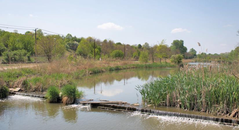 Folytatódhat a Kána-tó megújulása a 11. kerületben