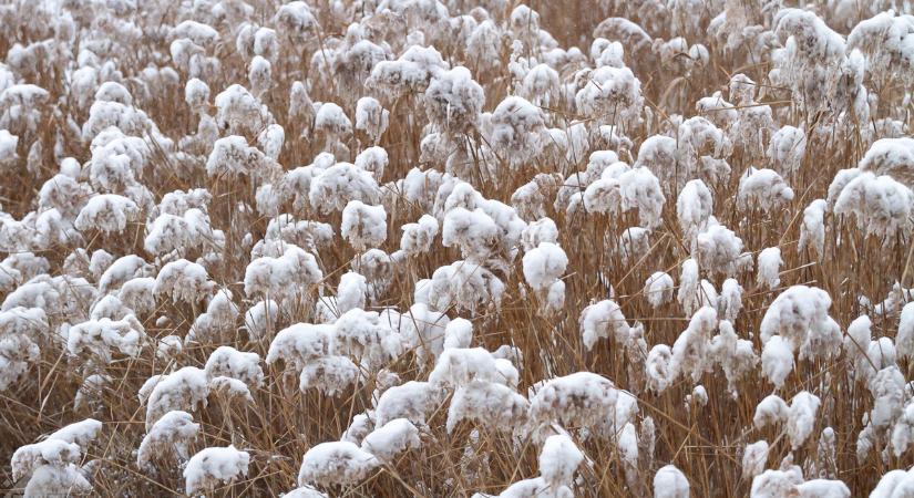 Hófúvás miatt másodfokú riasztást adott ki a HungaroMet egyes dunántúli járásokra