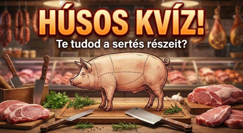 Gasztro kvíz: Tudod, hol van a dagadó? 10 kérdés a sertés részeiről.