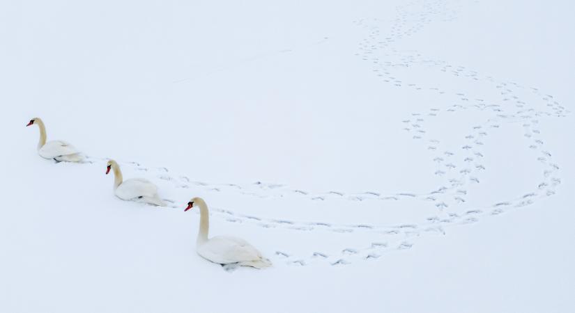 Mínusz húsz foknál is hidegebbet mértek több helyen az éjjel