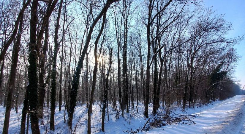 Extrém éjszaka előtt állunk, Zalában lehet a leghidegebb (galéria, videó)