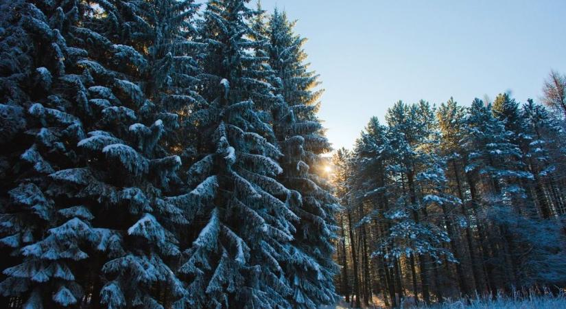 Olyasmit láttak egy hevesi településen, amihez egyébként több órát kellene repülni  videó