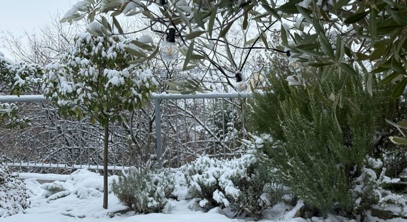 A januári szél kártérképe: hol veszít a kerted hőt?