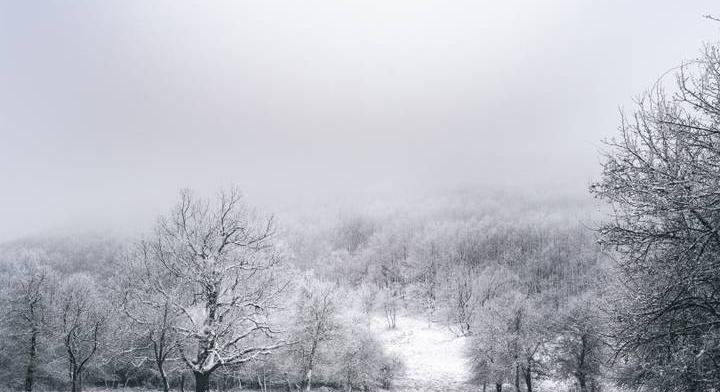 Veszélyes lehet a kirándulás ezekben a magyar erdőkben: felhívást tettek közzé