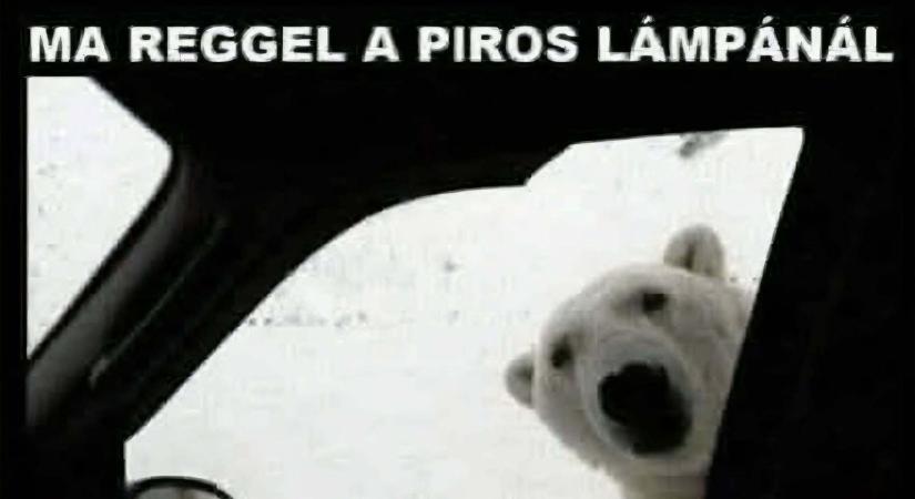 Ez történt: A hókáosz Pintér Sándortól a macskákig beindította a mémgyárat