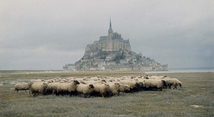 Mintha mesébe csöppennél: így néznek ki a valóságban a Disney-rajzfilmek ikonikus helyszínei