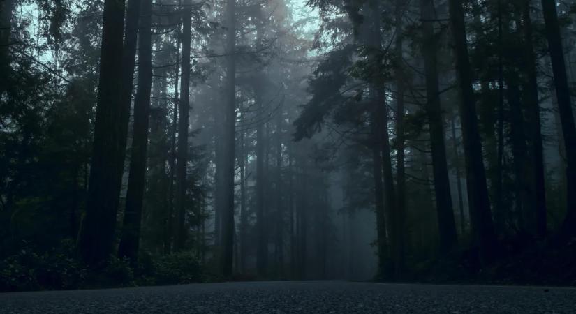 Erdőbe vonszolta ki élettársát, majd megásatta vele saját sírját egy győri férfi