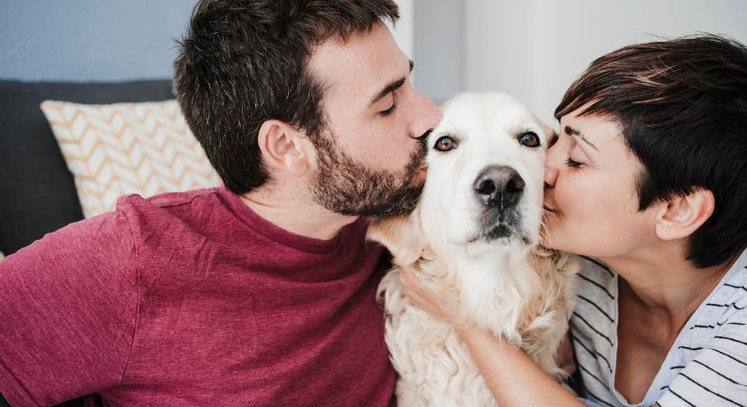 Bebizonyították a kutatók: a kutyák a gazdáik beszélgetéséből is képesek új szavakat tanulni