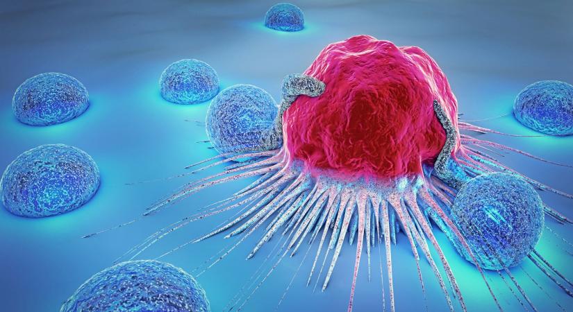 Szendergő tumorsejtek