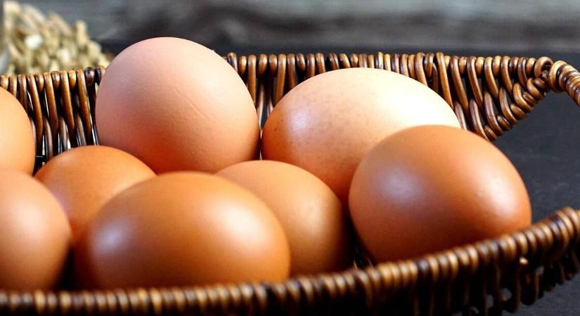 Téli hideg, üres tojófészek? Ezt adja a tyúknak, ha tojást akar!