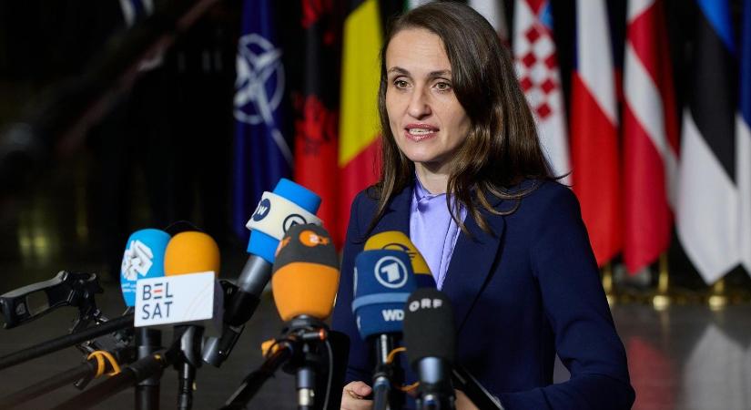 Oana Țoiu külügyminiszter menesztését kéri a Humanista Párt a Mercosur-egyezmény miatt