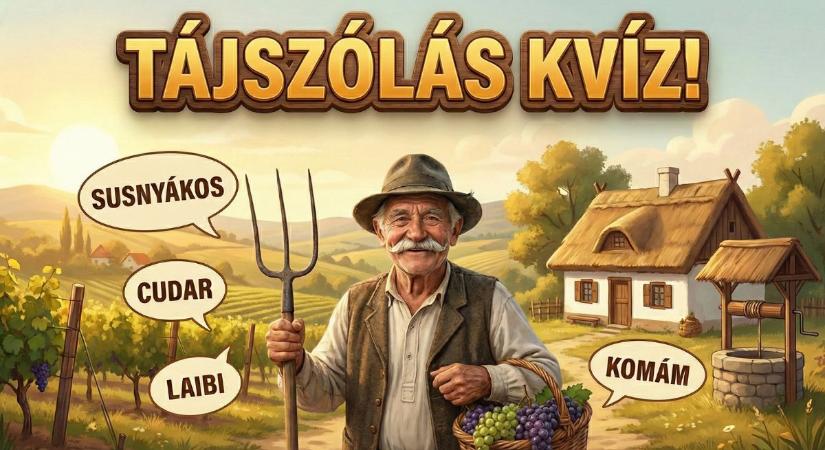 Tájszólás kvíz: Érted a nagyi beszédét? 10 ízes magyar szó Borsodból és Szabolcsból!