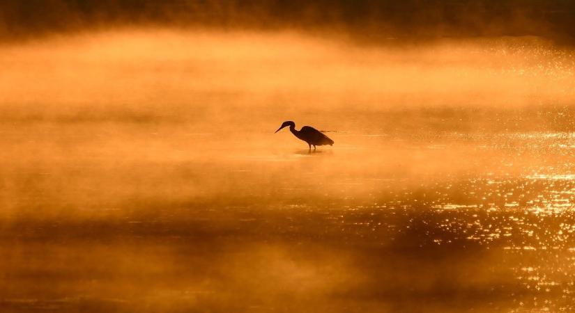 Egyre nagyobb veszélyben Magyarország különleges értékei