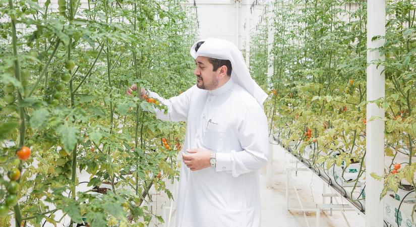 Lassan mi is a sivatagi gazdáktól tanulunk, és van is mit