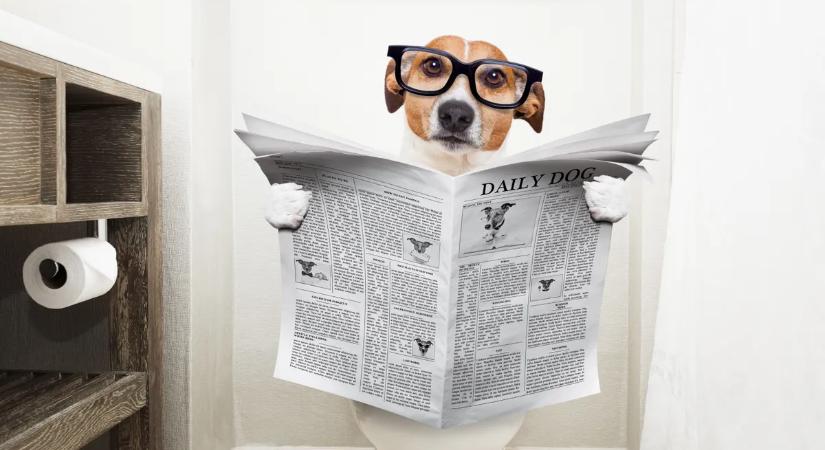 Mindent megpróbáltál, de semmi sem segít? Íme 5 mennyei nassolnivaló, ha székrekedéssel küzdesz