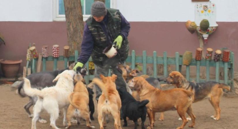 Csak mondjuk, hogy kutya hideg van - vagy gondolunk négylábú társaink biztonságára is?
