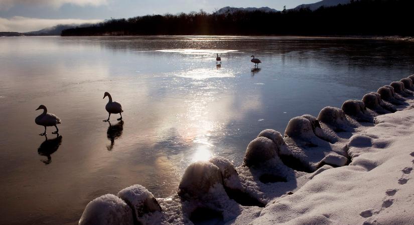 Borzalom, ami a Balatonon történt a befagyás után, azonnal intézkedtek a rendőrök
