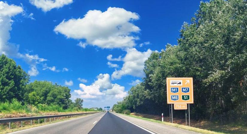 Nem hittek a szemüknek az M0-áson: ez a sérült állat totyogott a belső sávba