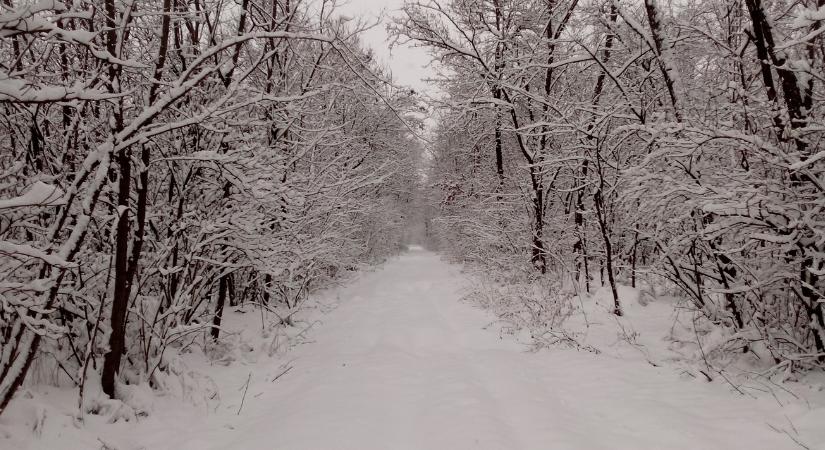 Időjárás: Új hét, új remény, de semmi jóra ne számíts – nehéz körülmények jönnek! VIDEÓ