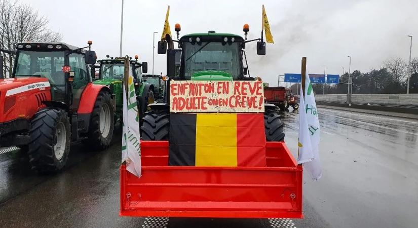 Tüzek, megbénult autópályák: tovább tüntetnek a gazdák Belgiumban – videó