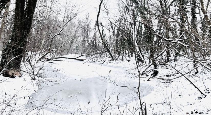 Szép arcát mutatta meg a tél - olvasónk csodaszép fotót osztott meg velünk